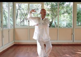 Taiji video corso base gratuito