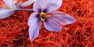 LO ZAFFERANO: TI AIUTA CONTRO ANSIA E STRESS